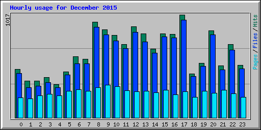 Hourly usage for December 2015