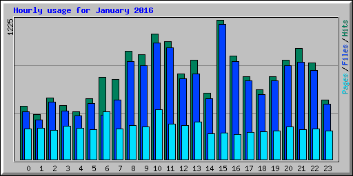 Hourly usage for January 2016