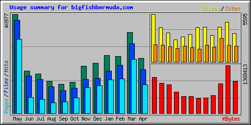 Usage summary for bigfishbermuda.com